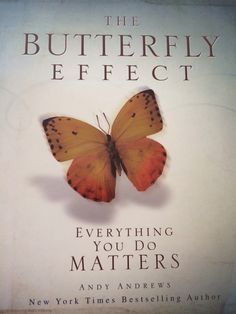 the butterfly effect book cover with an orange butterfly on it's back and white background