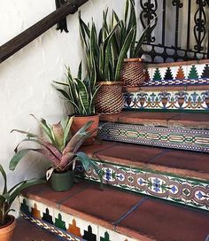 some potted plants are sitting on the steps next to a stair case and railing