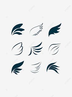 the wings of different shapes and sizes on a white background