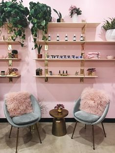 two blue chairs sitting next to each other in front of shelves with plants on them