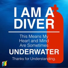 a red fire extinguisher with the words i am a diver on it