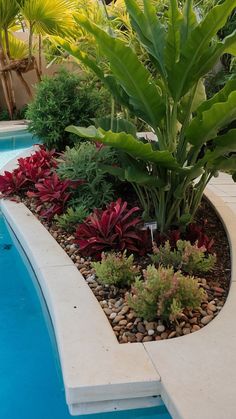 a pool with plants and rocks in it next to the swimming pool is a nice place for people to relax