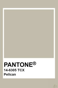 the pantone paint color is shown in this image, it's light gray