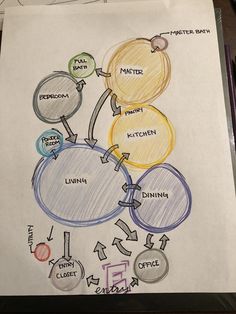 a drawing of the life cycle on top of a piece of paper