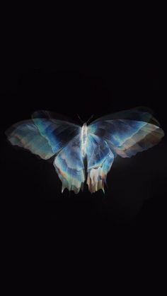 a blue and white butterfly on a black background with its wings spread out to the side