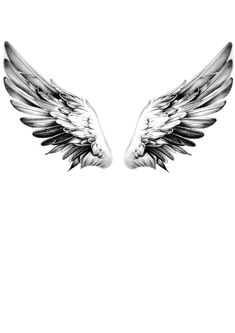 two white and black wings on a white background