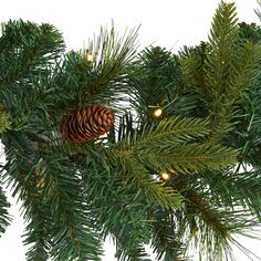 a pine cone is hanging from the branch of a christmas tree with lights on it