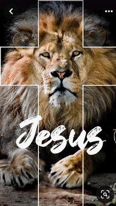 an image of a lion with the words jesus on it