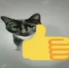 a black and white cat with a thumbs up sign