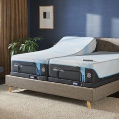 two mattresses sitting next to each other on a bed frame in a room with blue walls