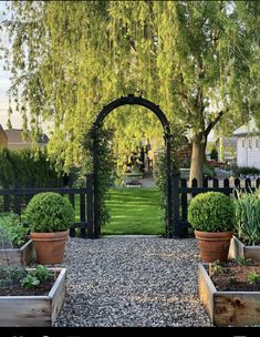 an outdoor garden with potted plants and trees in the background, surrounded by gravel