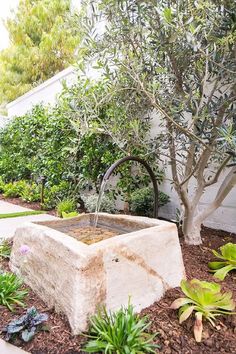 an outdoor water fountain surrounded by plants and trees