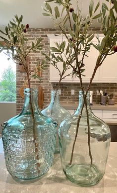 two glass vases with branches in them on a counter