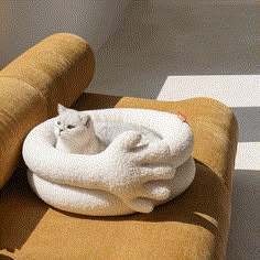 a white cat sitting in a bed on top of a couch