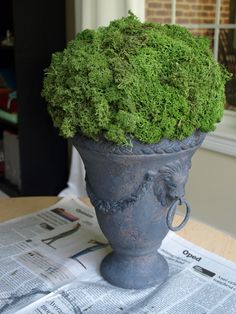 a potted plant sitting on top of a newspaper