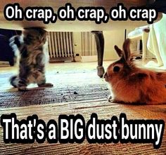 two cats and a bunny on the floor with caption saying, oh crap, oh crap that's a big dust bunny