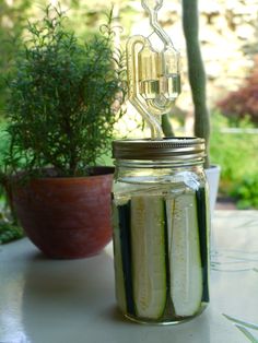 cucumbers are in a jar on the table next to a potted plant