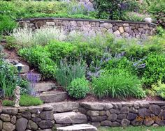 an outdoor garden with rocks and plants