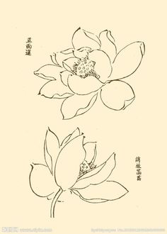 two flowers with chinese writing on the back and one is drawn in black ink by hand