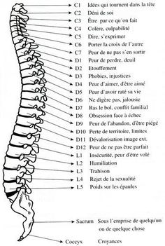 Symbolisme de la colonne vertébrale et équilibre Ayurveda Yoga, Business Notes, Reflexology Massage, Detox Tips, Yoga Positions, Medical Anatomy, Medical Aesthetic, Sports Health