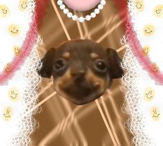 a dog is looking at the camera in front of an ornate background with pearls and beads