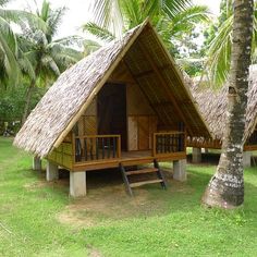 a small hut with thatched roof in the middle of some grass and palm trees