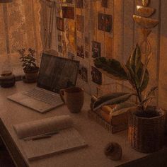 a laptop computer sitting on top of a wooden desk next to a potted plant