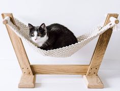 a black and white cat sitting in a hammock on top of a wooden stand