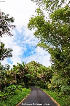 an empty road surrounded by lush green trees and bushes on both sides with the sky in the background