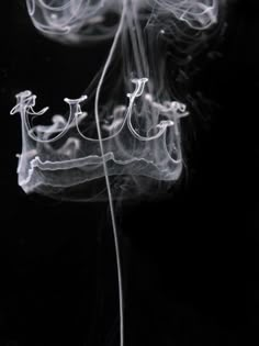 Maximilian Jaenicke Crown of Smoke How'd he do it? “Milk, water, a big jar, Canon Powershot A95 + macro converter lens, 2x 500 W halogen lamps, black board and PS, of course. Milk was dripped into water with a pipette. While the milk was decending in the water, a series of shots were taken." Rauch Fotografie, Makijaż Smokey Eye, Pics Art, Black Aesthetic, White Photography, Dark Aesthetic, The Magicians, Black Background