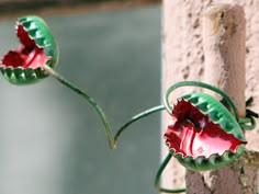 two red and green flowers attached to a stone wall