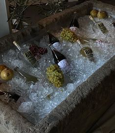 an ice tray filled with wine bottles and grapes