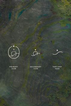 an aerial view of the mountains and valleys with different types of trees on them, including two