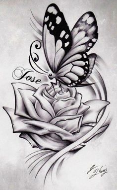 a drawing of a butterfly sitting on top of a rose