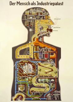 a diagram of the human body with all its major areas labeled in red and yellow