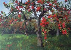 an apple tree with red apples on it in a grassy field next to other trees