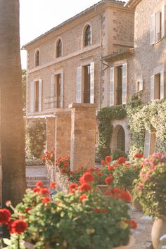 an old building with red flowers in the foreground