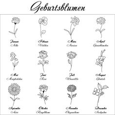 an image of flowers in german language with the names and their meaningss on them