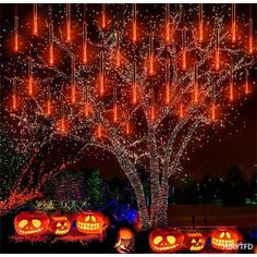 pumpkins are lit up in front of a tree with lights on it and hanging from the branches