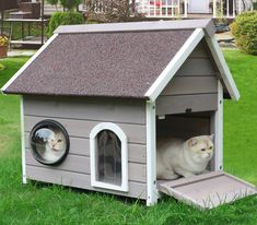 two cats in a dog house on the grass