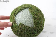 a hand is holding a moss ball with an arrow painted on the top and bottom