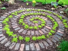 a circular garden design made out of bricks