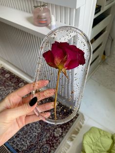 a person holding up a flower in a container