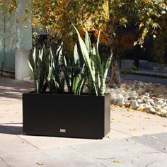 there is a planter with plants in it on the sidewalk