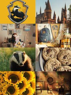 the collage has pictures of people and animals in them, including sunflowers