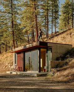 a man standing on top of a small building in the middle of a forest with tall trees