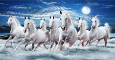 five white horses running in the ocean at night