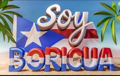 the word'soy boricua'is placed in front of a flag and palm trees