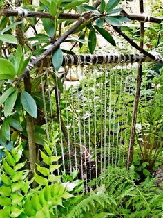 an old metal trellis in the middle of some plants and trees with lots of green leaves