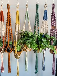 there are many different types of macrame cords hanging from hooks on the wall